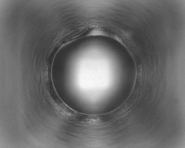 X0000078260552200611172007