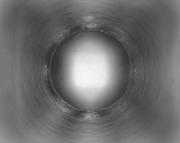 X0000078260555200611172007