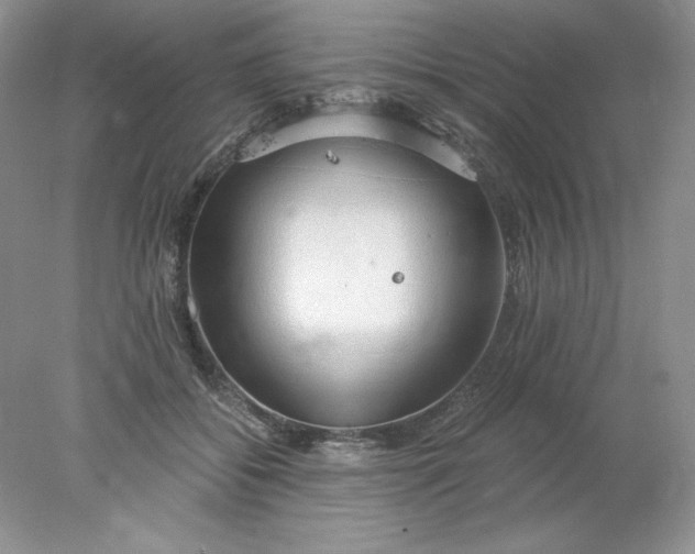 X0000078260556200611172007