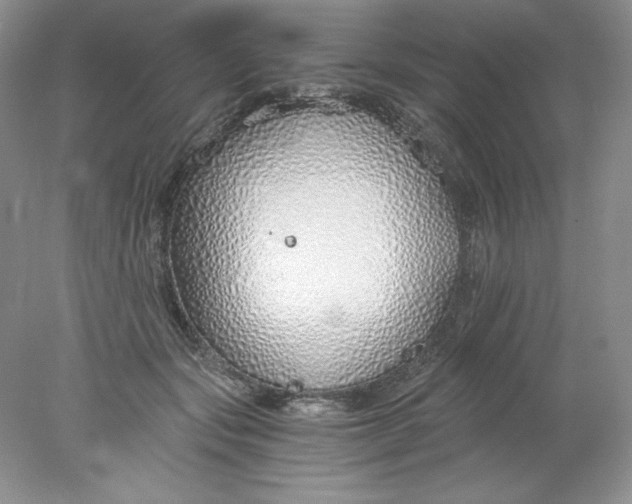 X0000078260557200611172007