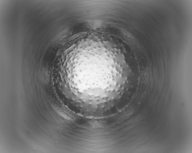 X0000078260558200611172007