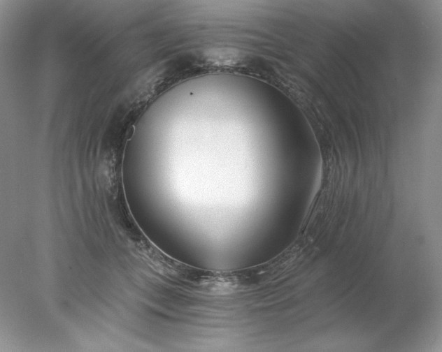 X0000078260559200611172007
