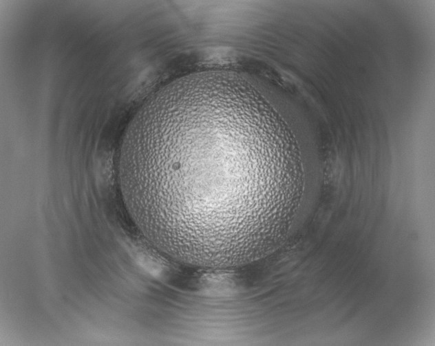 X0000078260560200611172007