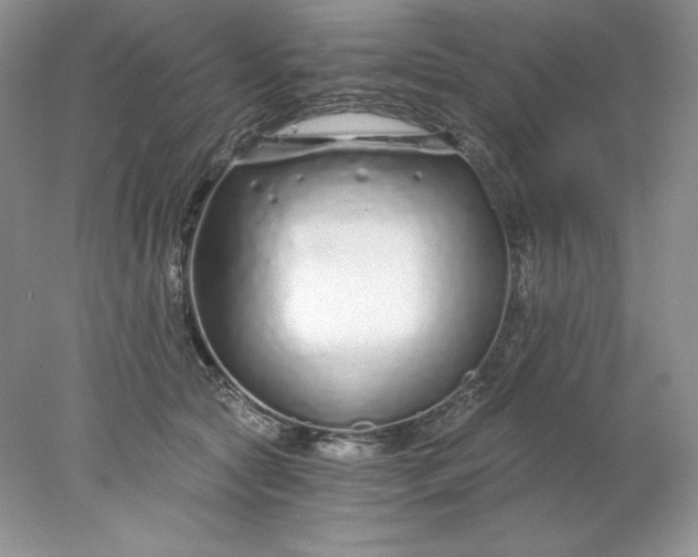 X0000078260561200611172007