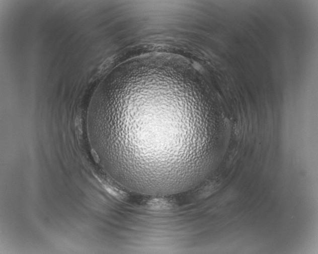 X0000078260562200611172007