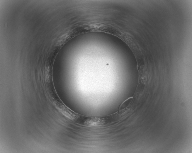 X0000078260563200611172007