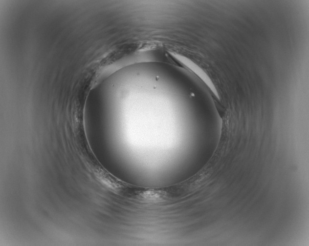X0000078260566200611172008