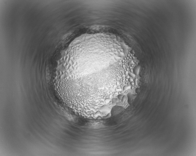 X0000078260569200611172008
