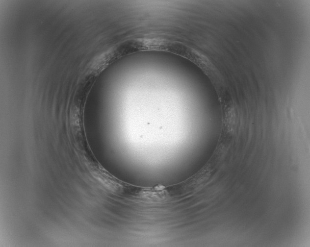 X0000078260571200611172008