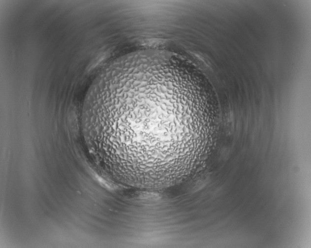 X0000078260572200611172008