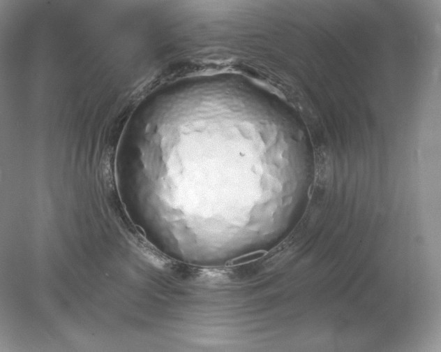 X0000078260573200611172008