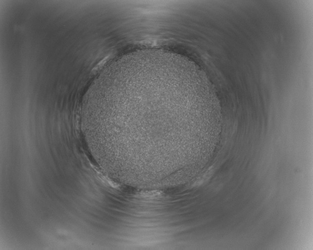 X0000078260576200611172008