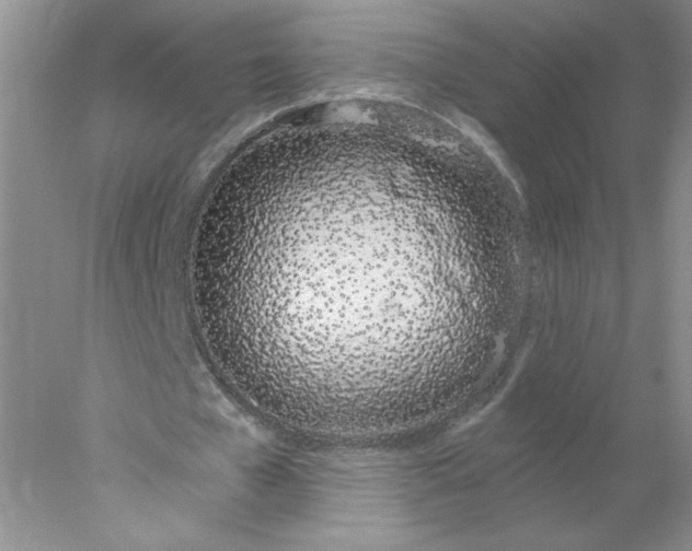 X0000078260577200611172007