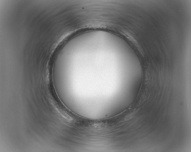 X0000078260584200611172007