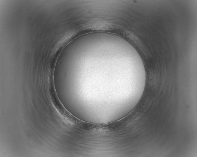 X0000078260586200611172007