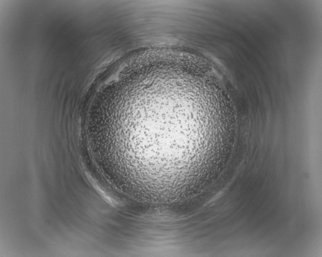 X0000078260589200611172007
