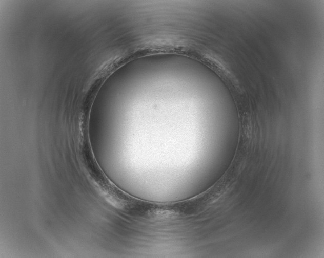 X0000078260590200611172007