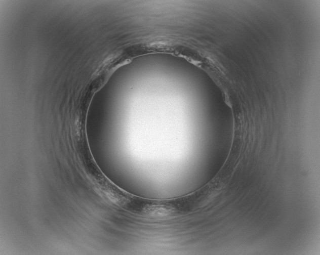 X0000078260597200611172007