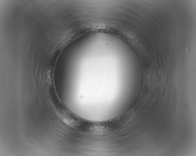 X0000078260598200611172007