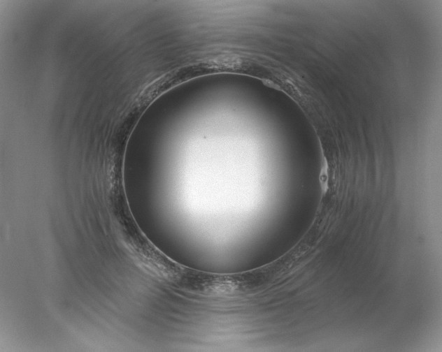 X0000078260600200611172007