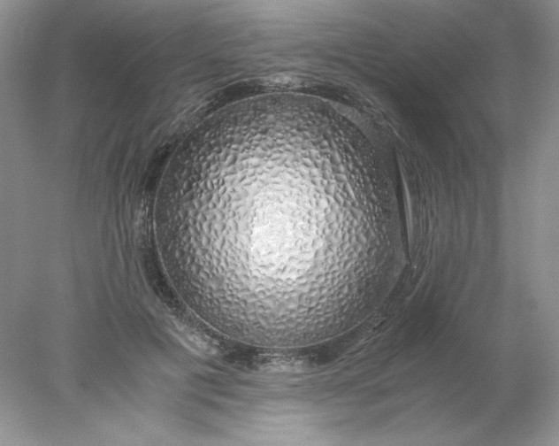 X0000078260601200611172006