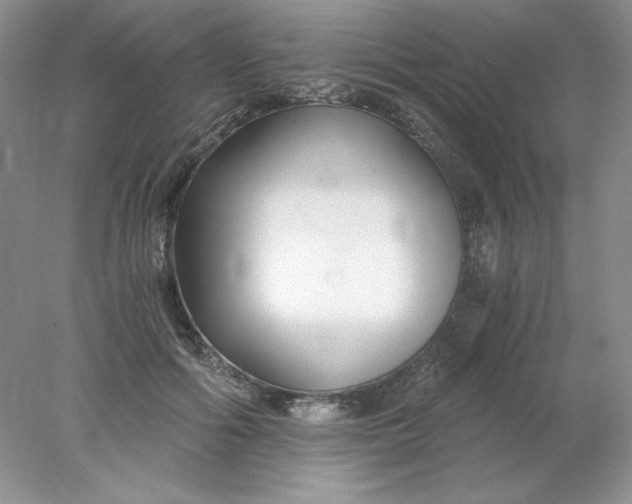 X0000078260602200611172006