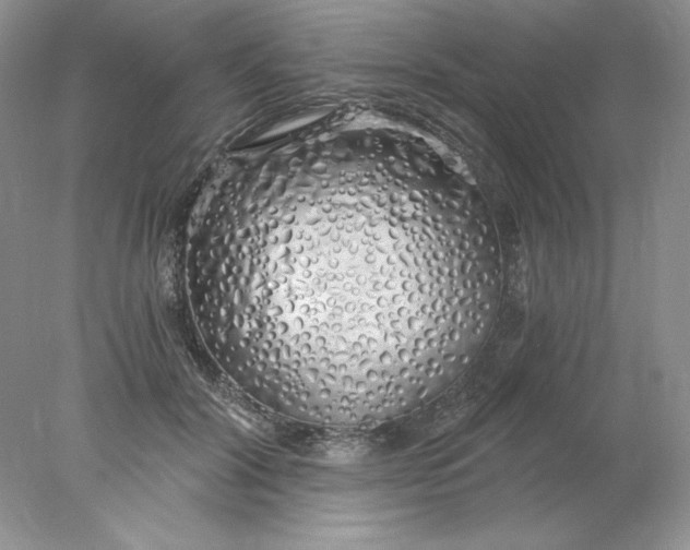 X0000078260604200611172006