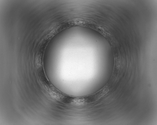 X0000078260606200611172006