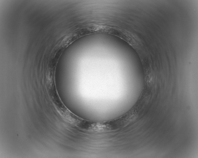 X0000078260607200611172006