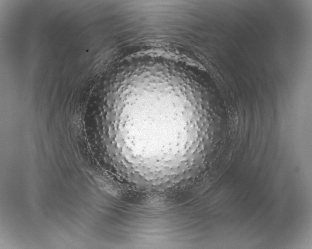 X0000078260609200611172006