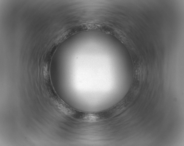 X0000078260610200611172006