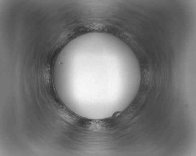 X0000078260612200611172006