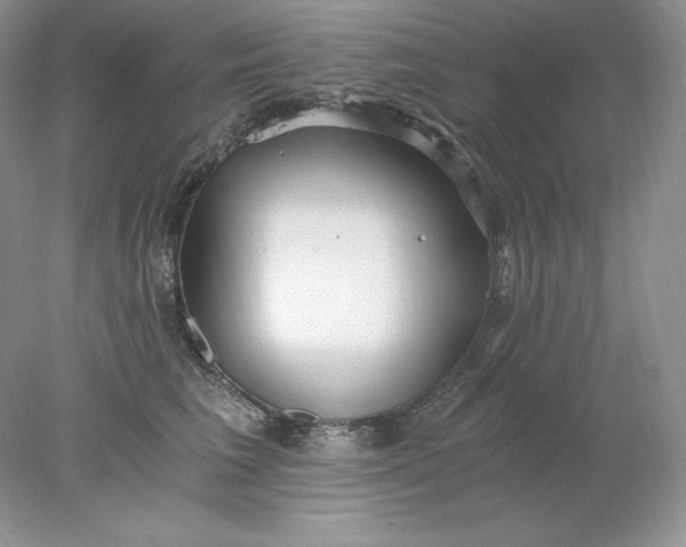X0000078260613200611172006