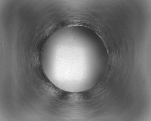 X0000078260615200611172006