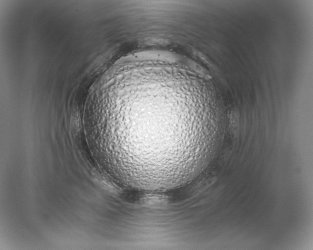 X0000078260617200611172006