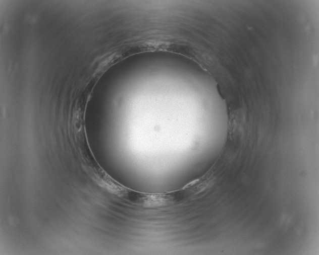 X0000078260623200611172006