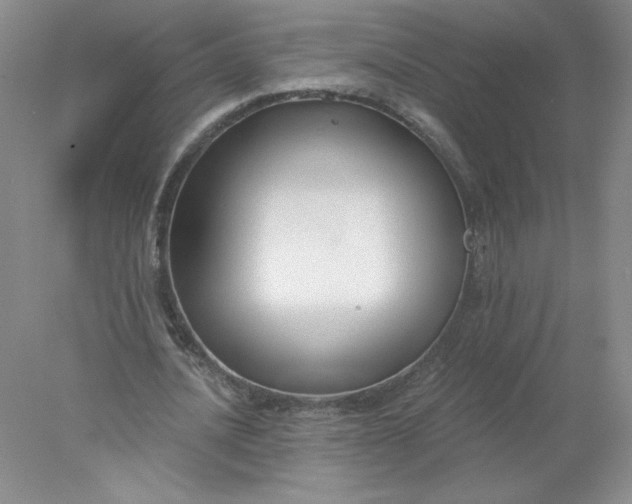 X0000078260628200611172005