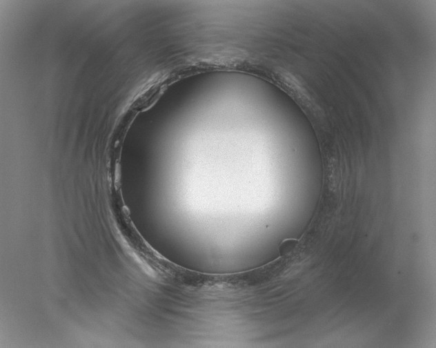X0000078260634200611172005