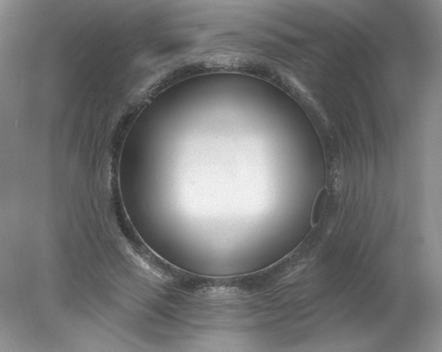 X0000078260637200611172005