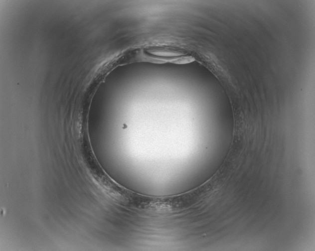 X0000078260640200611172006
