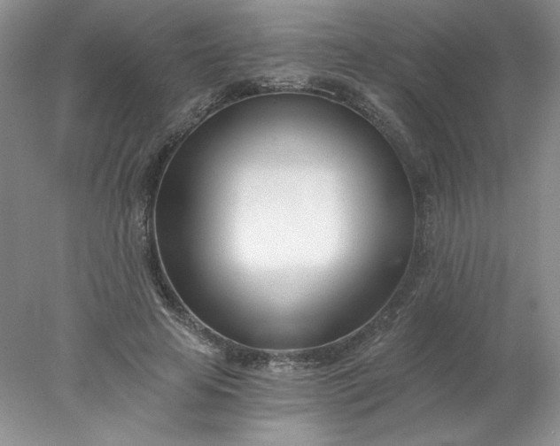 X0000078260641200611172006