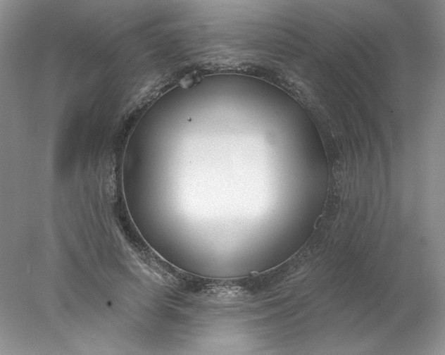 X0000078260642200611172006