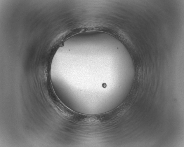 X0000078260644200611172006