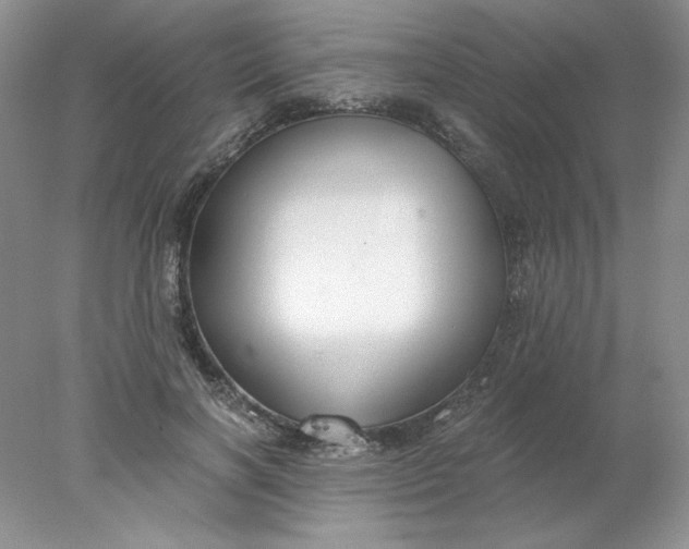 X0000078260646200611172006