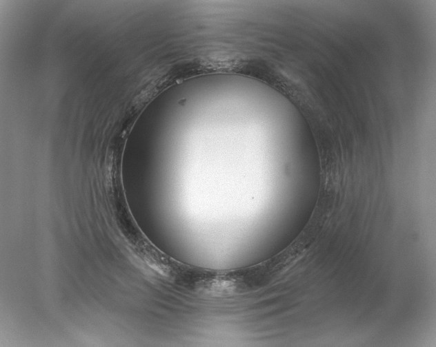 X0000078260647200611172006