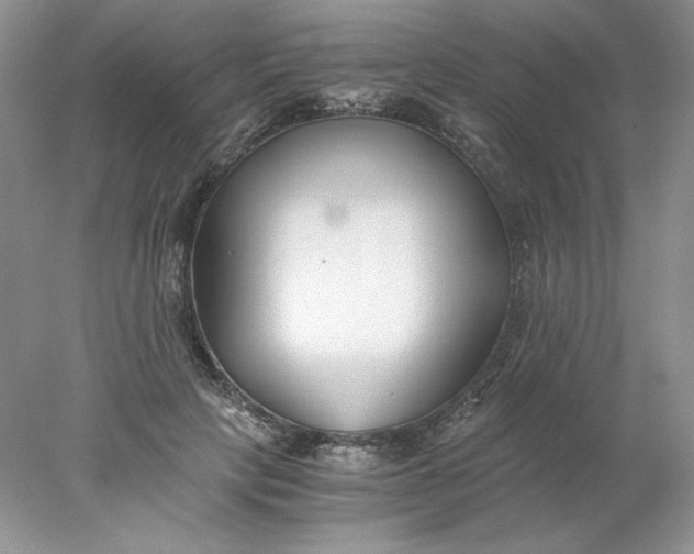 X0000078260649200611172006