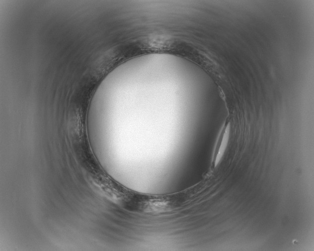 X0000078260651200611172006