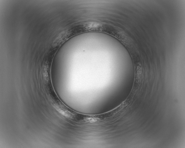 X0000078260654200611172006