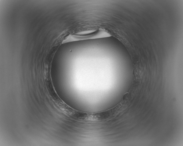 X0000078260656200611172006