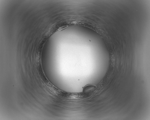 X0000078260657200611172006
